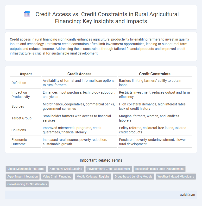 Credit Access vs. Credit Constraints in Rural Agricultural Financing: Key Insights and Impacts