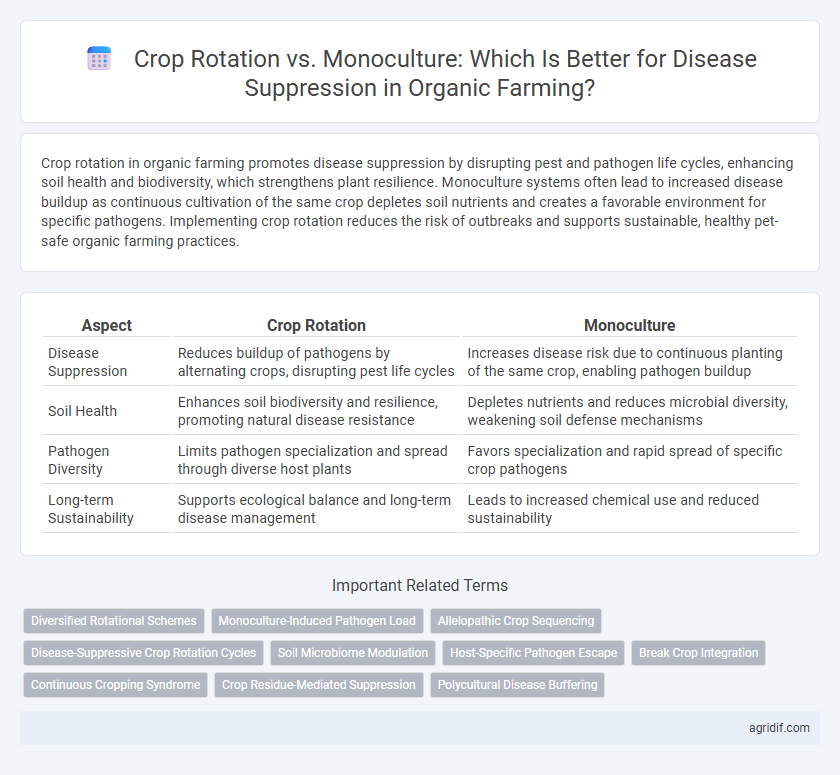 Crop Rotation vs. Monoculture: Which Is Better for Disease Suppression in Organic Farming?