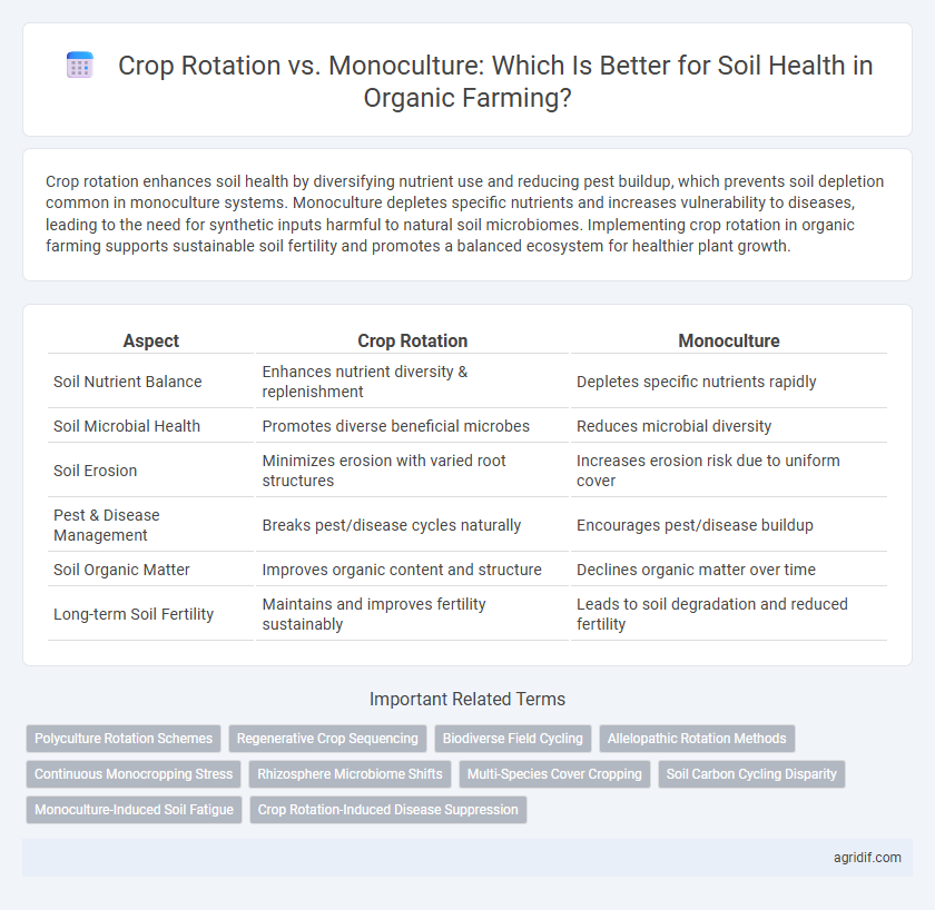 Crop Rotation vs. Monoculture: Which Is Better for Soil Health in Organic Farming?