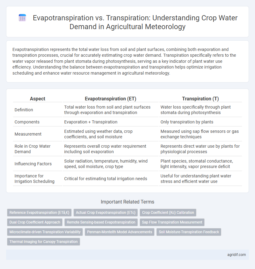 Evapotranspiration vs. Transpiration: Understanding Crop Water Demand in Agricultural Meteorology