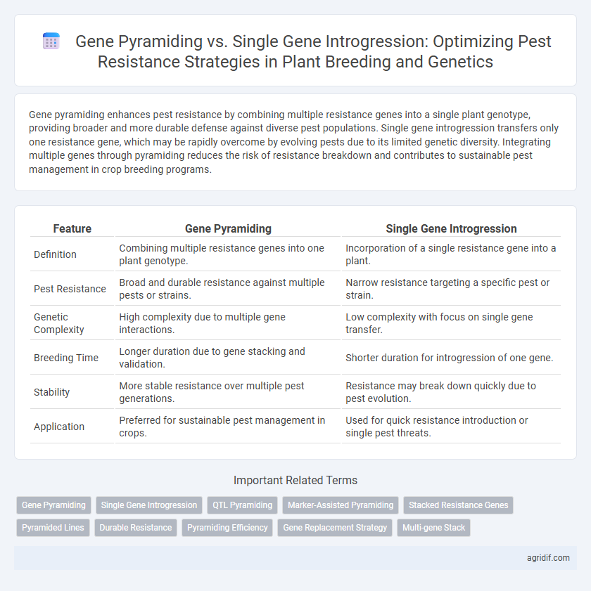 Gene Pyramiding vs. Single Gene Introgression: Optimizing Pest Resistance Strategies in Plant Breeding and Genetics