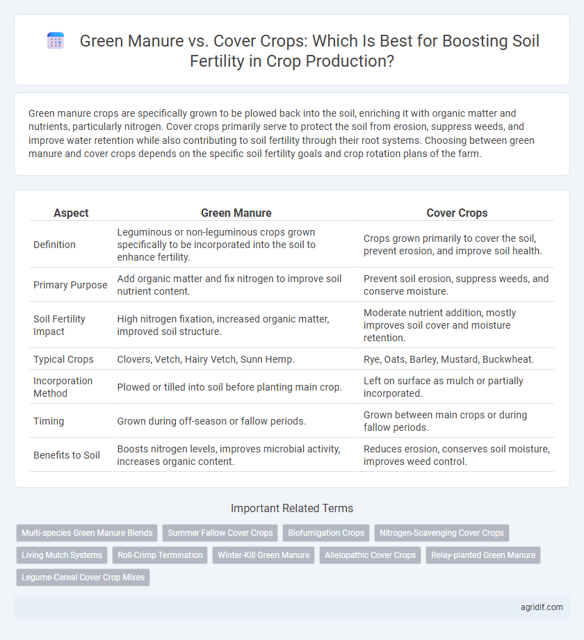 Green Manure vs. Cover Crops: Which Is Best for Boosting Soil Fertility in Crop Production?