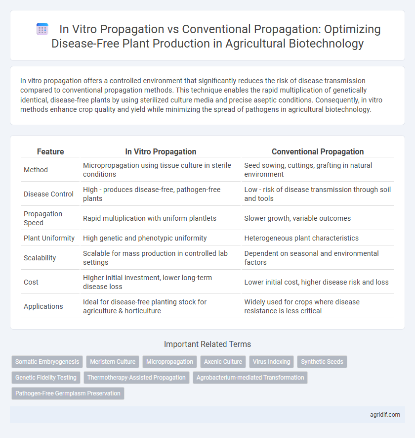 In Vitro Propagation vs Conventional Propagation: Optimizing Disease-Free Plant Production in Agricultural Biotechnology