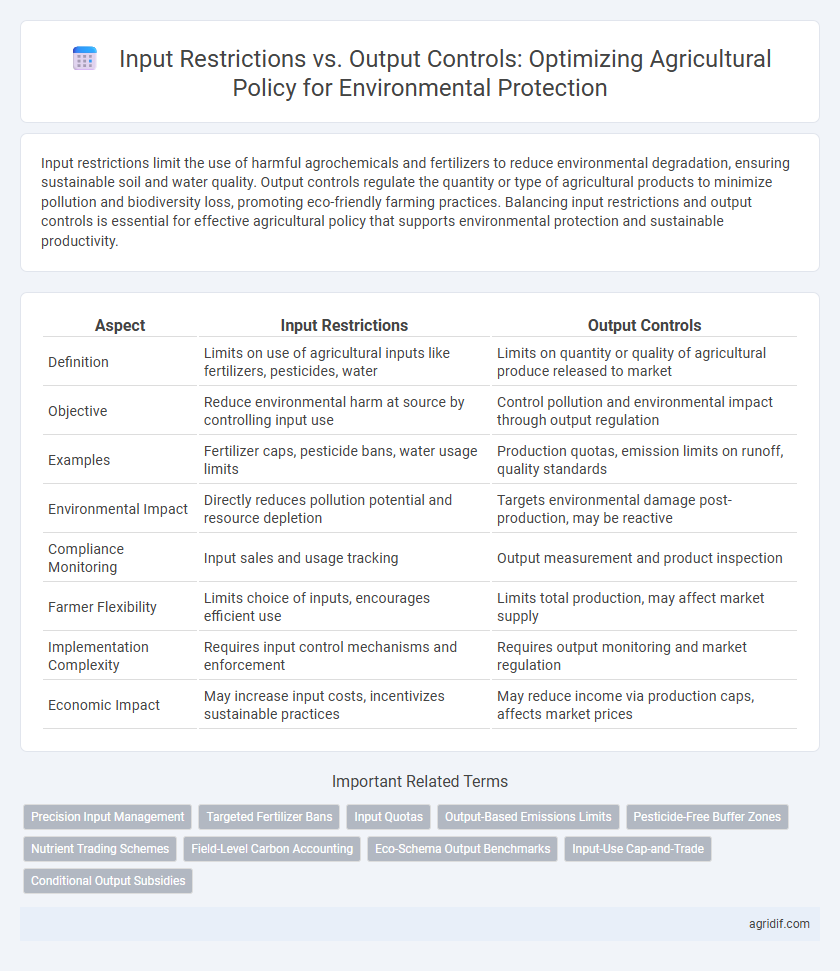 Input Restrictions vs. Output Controls: Optimizing Agricultural Policy for Environmental Protection