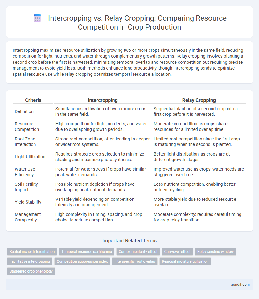 Intercropping vs. Relay Cropping: Comparing Resource Competition in Crop Production