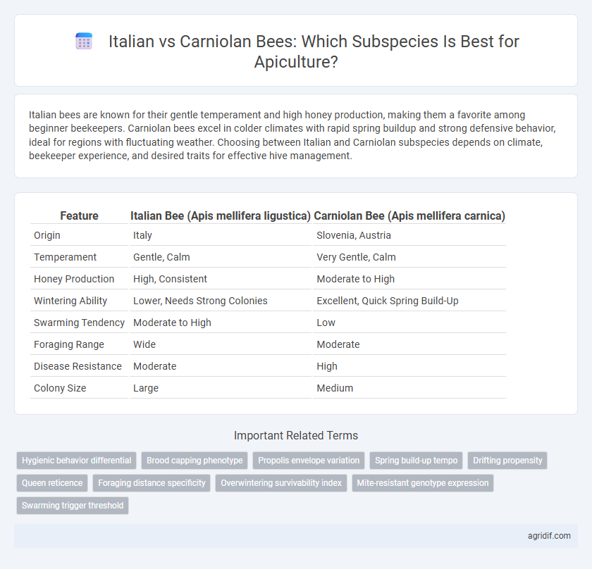 Italian vs Carniolan Bees: Which Subspecies Is Best for Apiculture?