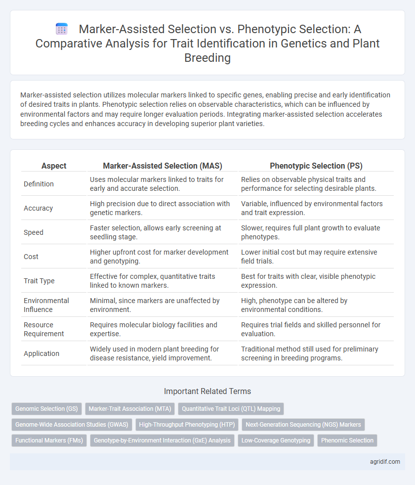 Marker-Assisted Selection vs. Phenotypic Selection: A Comparative Analysis for Trait Identification in Genetics and Plant Breeding