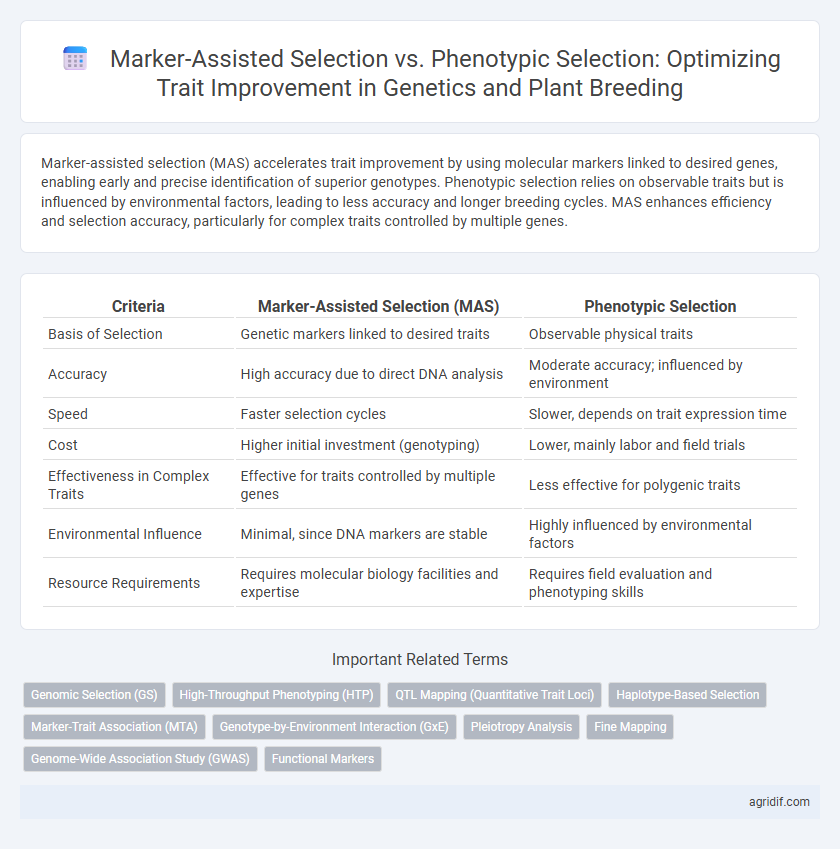Marker-Assisted Selection vs. Phenotypic Selection: Optimizing Trait Improvement in Genetics and Plant Breeding