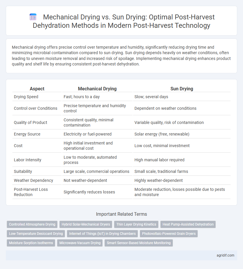 Mechanical Drying vs. Sun Drying: Optimal Post-Harvest Dehydration Methods in Modern Post-Harvest Technology