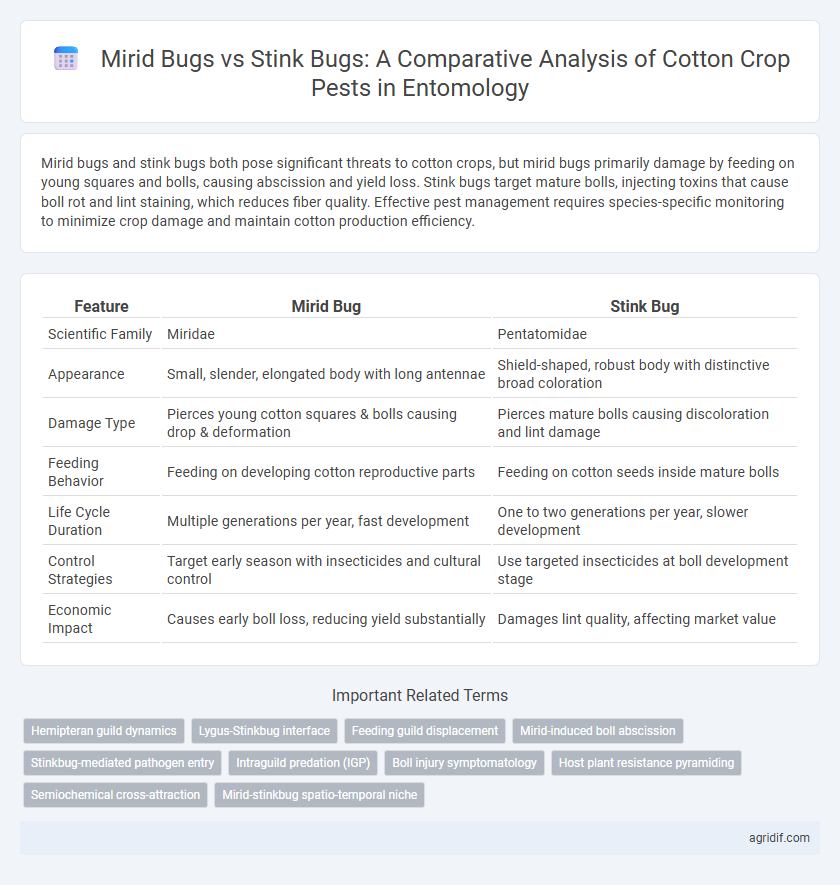 Mirid Bugs vs Stink Bugs: A Comparative Analysis of Cotton Crop Pests in Entomology