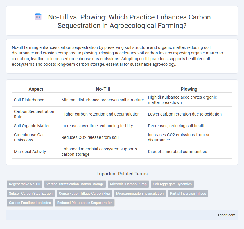 No-Till vs. Plowing: Which Practice Enhances Carbon Sequestration in Agroecological Farming?