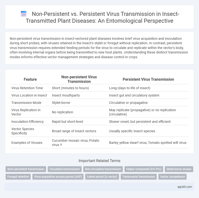 Non-Persistent vs. Persistent Virus Transmission in Insect-Transmitted Plant Diseases: An Entomological Perspective
