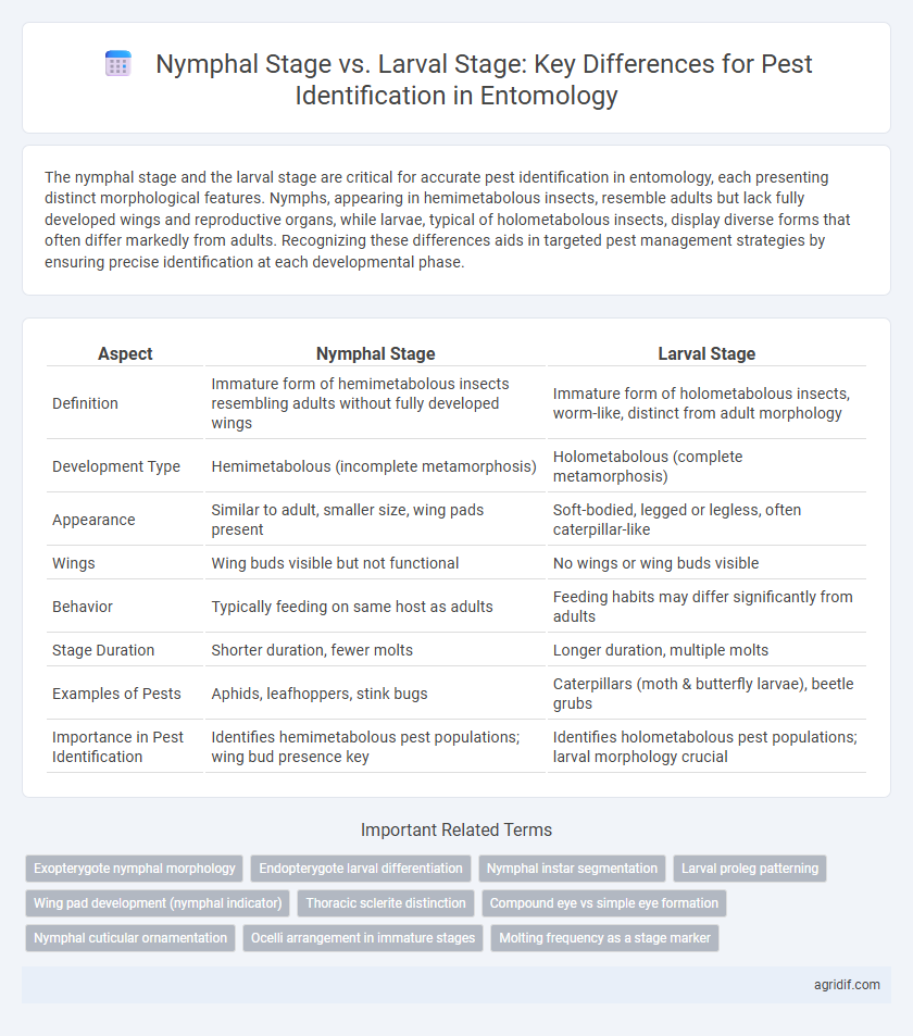 Nymphal Stage vs. Larval Stage: Key Differences for Pest Identification in Entomology