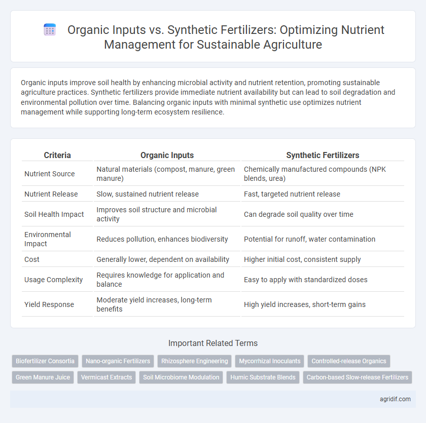 Organic Inputs vs. Synthetic Fertilizers: Optimizing Nutrient Management for Sustainable Agriculture