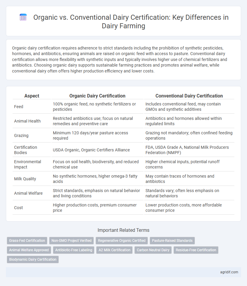 Organic vs. Conventional Dairy Certification: Key Differences in Dairy Farming