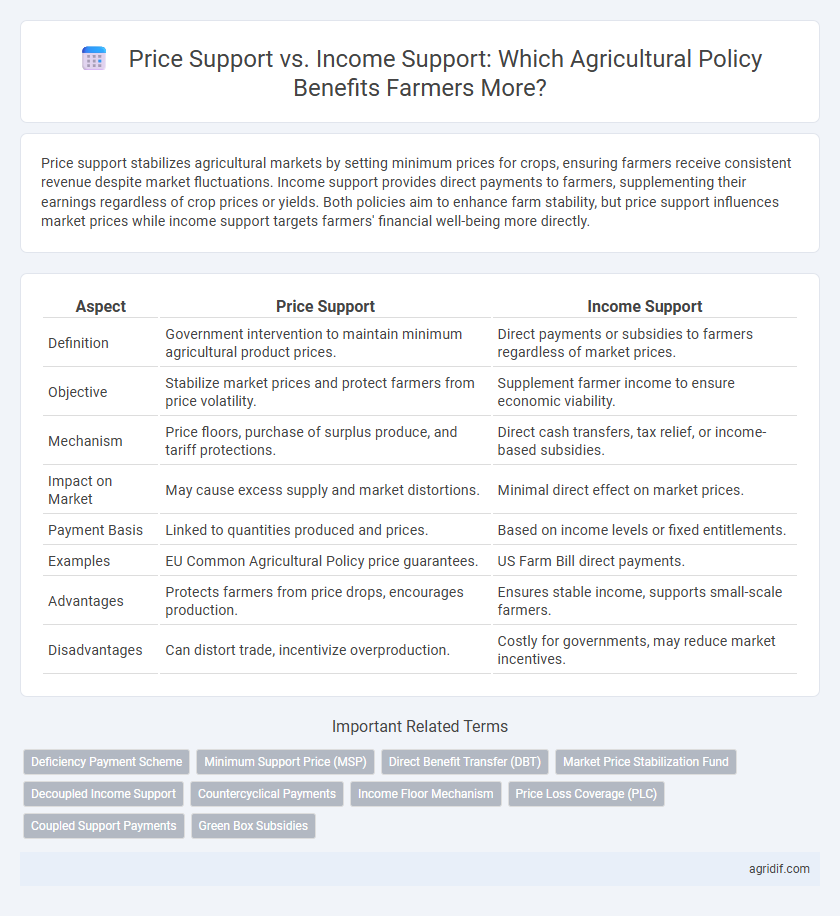 Price Support vs. Income Support: Which Agricultural Policy Benefits Farmers More?