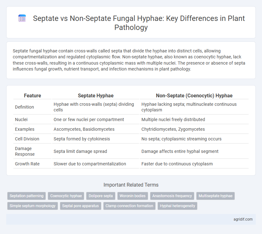 Septate vs Non-Septate Fungal Hyphae: Key Differences in Plant Pathology