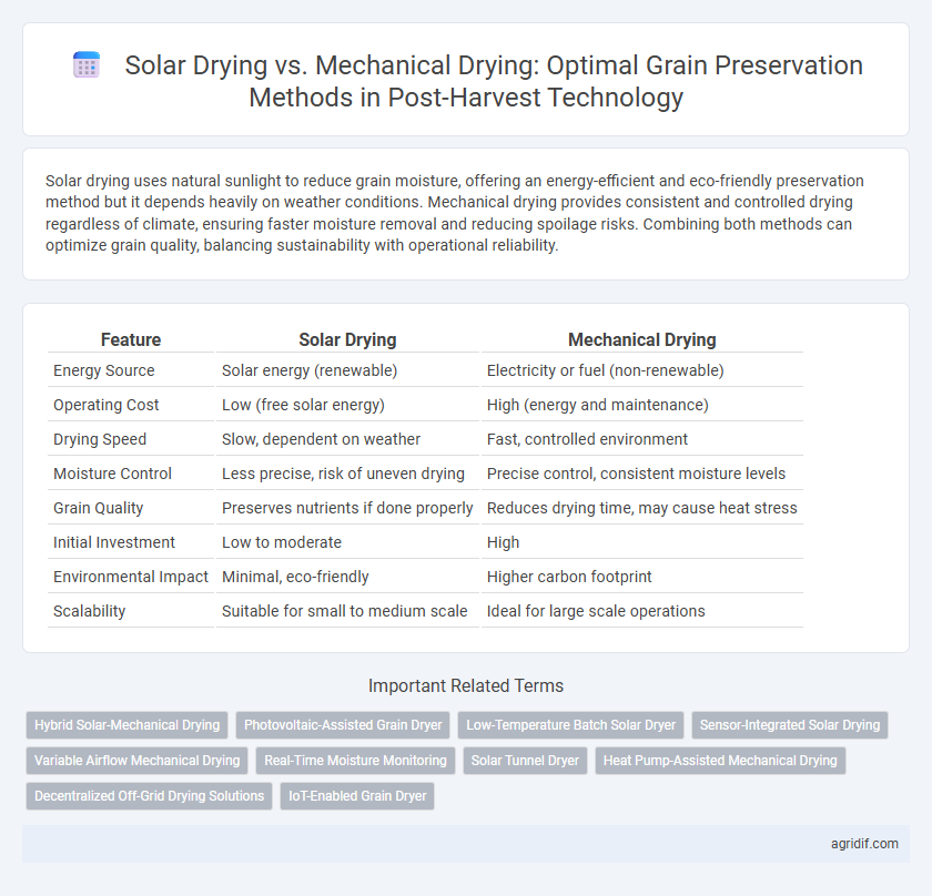 Solar Drying vs. Mechanical Drying: Optimal Grain Preservation Methods in Post-Harvest Technology