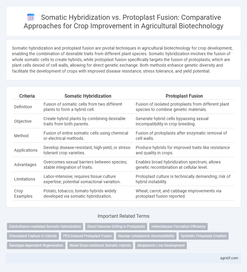 Somatic Hybridization vs. Protoplast Fusion: Comparative Approaches for Crop Improvement in Agricultural Biotechnology