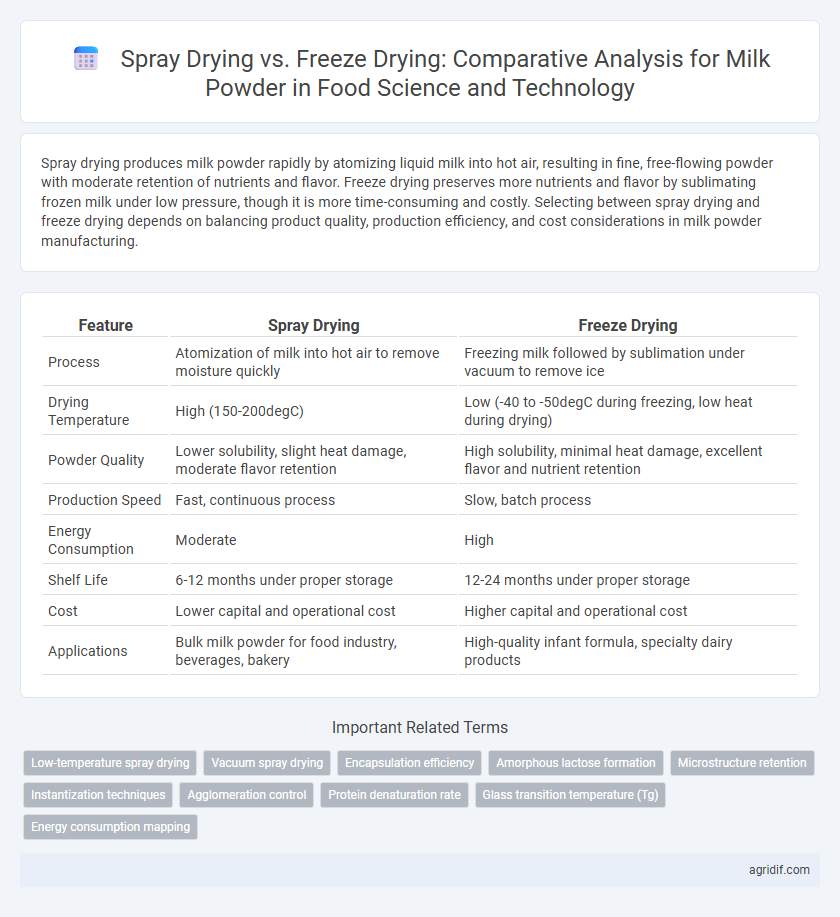Spray Drying vs. Freeze Drying: Comparative Analysis for Milk Powder in Food Science and Technology