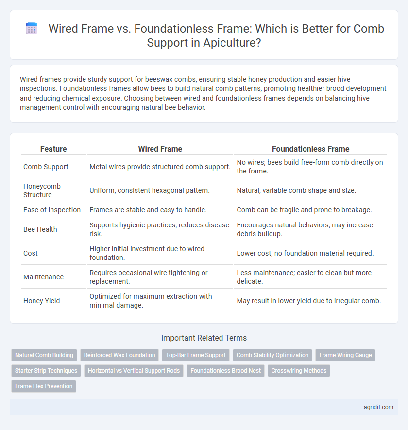 Wired Frame vs. Foundationless Frame: Which is Better for Comb Support in Apiculture?