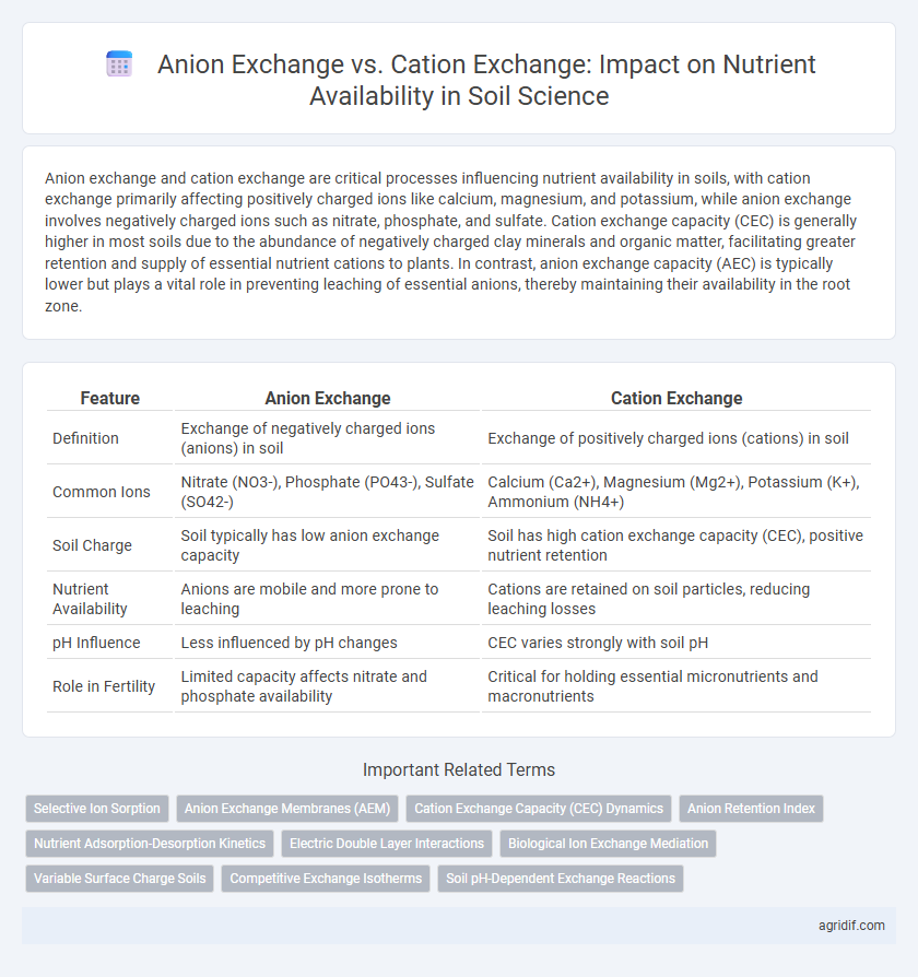 Anion Exchange vs. Cation Exchange: Impact on Nutrient Availability in Soil Science