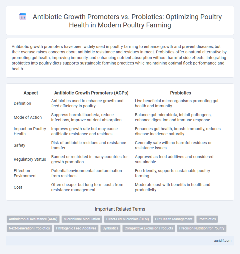 Antibiotic Growth Promoters vs. Probiotics: Optimizing Poultry Health in Modern Poultry Farming