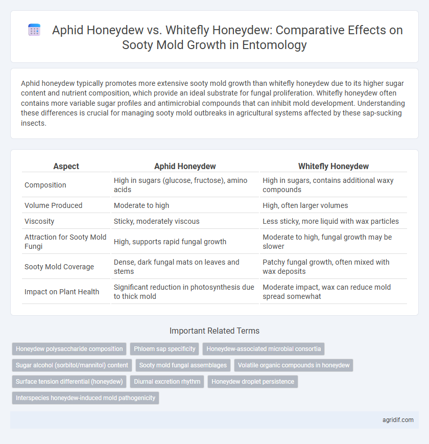 Aphid Honeydew vs. Whitefly Honeydew: Comparative Effects on Sooty Mold Growth in Entomology