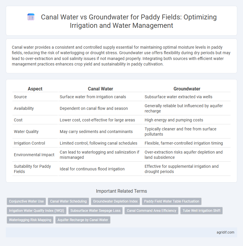 Canal Water vs Groundwater for Paddy Fields: Optimizing Irrigation and Water Management