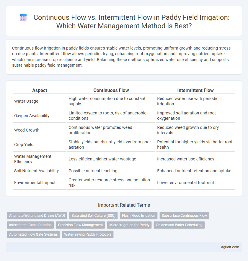 Continuous Flow vs. Intermittent Flow in Paddy Field Irrigation: Which Water Management Method is Best?