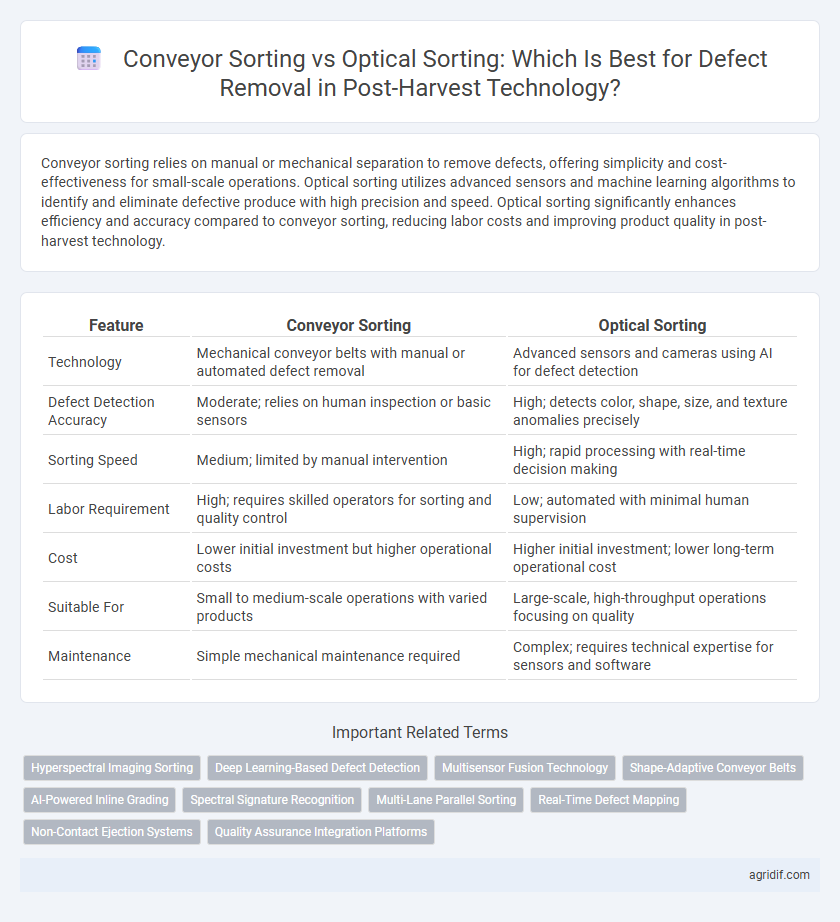 Conveyor Sorting vs Optical Sorting: Which Is Best for Defect Removal in Post-Harvest Technology?