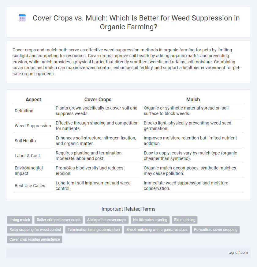 Cover Crops vs. Mulch: Which Is Better for Weed Suppression in Organic Farming?