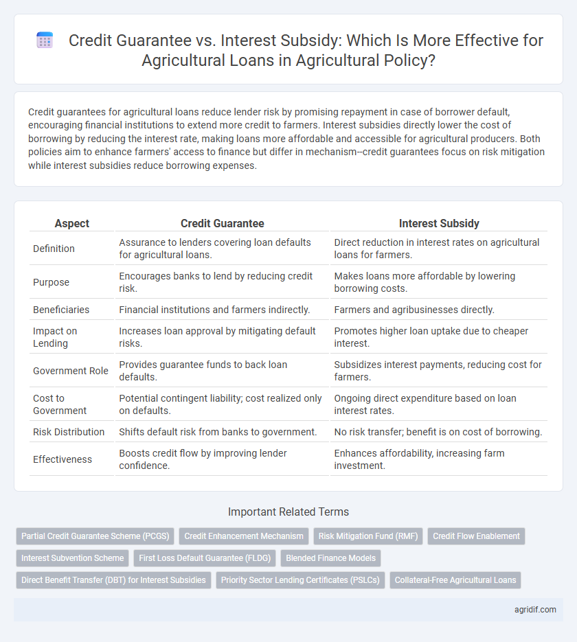 Credit Guarantee vs. Interest Subsidy: Which Is More Effective for Agricultural Loans in Agricultural Policy?