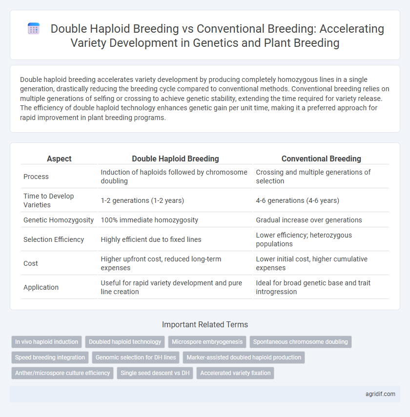 Double Haploid Breeding vs Conventional Breeding: Accelerating Variety Development in Genetics and Plant Breeding