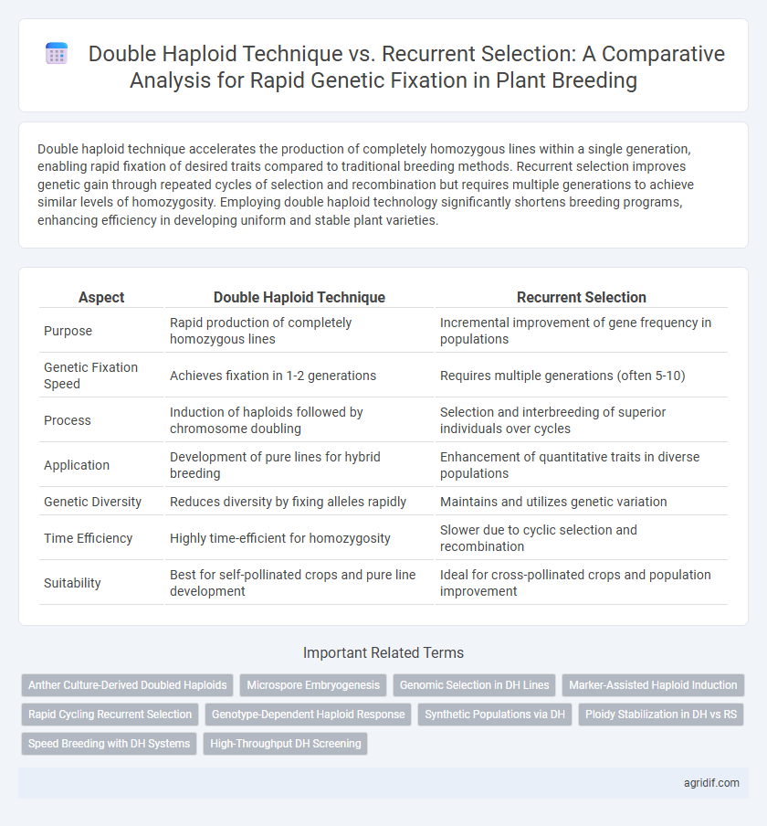 Double Haploid Technique vs. Recurrent Selection: A Comparative Analysis for Rapid Genetic Fixation in Plant Breeding