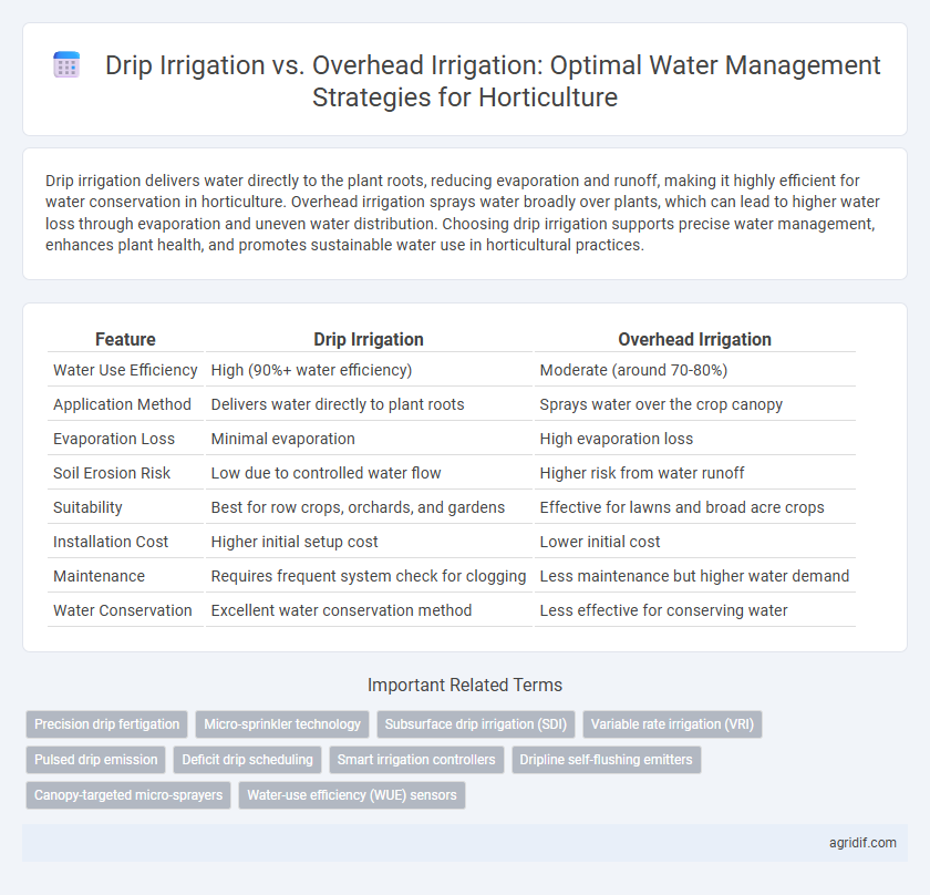 Drip Irrigation vs. Overhead Irrigation: Optimal Water Management Strategies for Horticulture