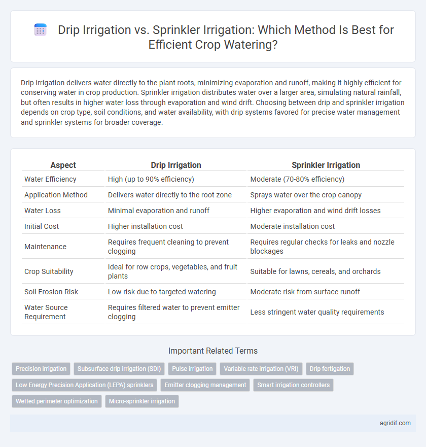 Drip Irrigation vs. Sprinkler Irrigation: Which Method Is Best for Efficient Crop Watering?