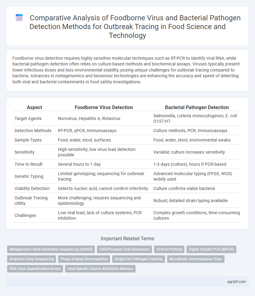 Comparative Analysis of Foodborne Virus and Bacterial Pathogen Detection Methods for Outbreak Tracing in Food Science and Technology
