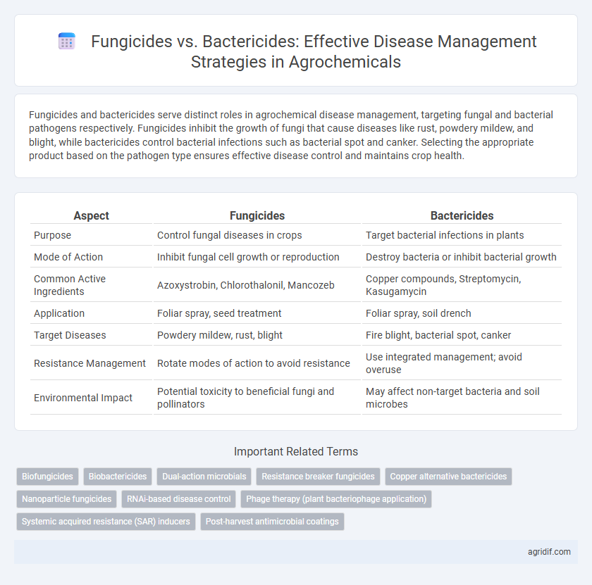 Fungicides vs. Bactericides: Effective Disease Management Strategies in Agrochemicals