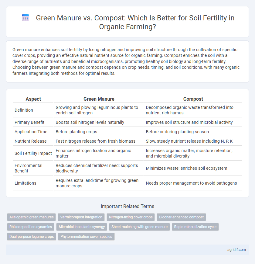 Green Manure vs. Compost: Which Is Better for Soil Fertility in Organic Farming?