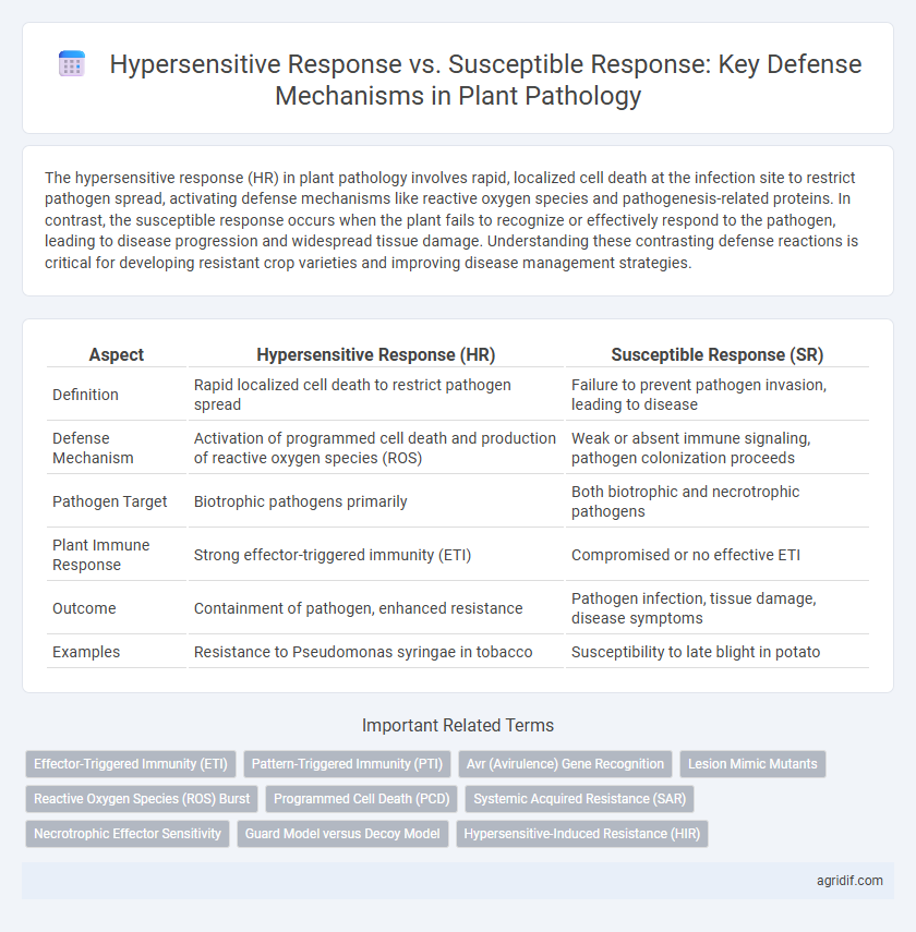 Hypersensitive Response vs. Susceptible Response: Key Defense Mechanisms in Plant Pathology