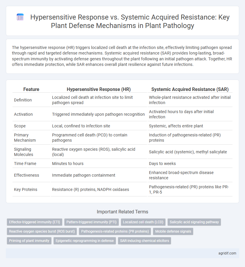 Hypersensitive Response vs. Systemic Acquired Resistance: Key Plant Defense Mechanisms in Plant Pathology