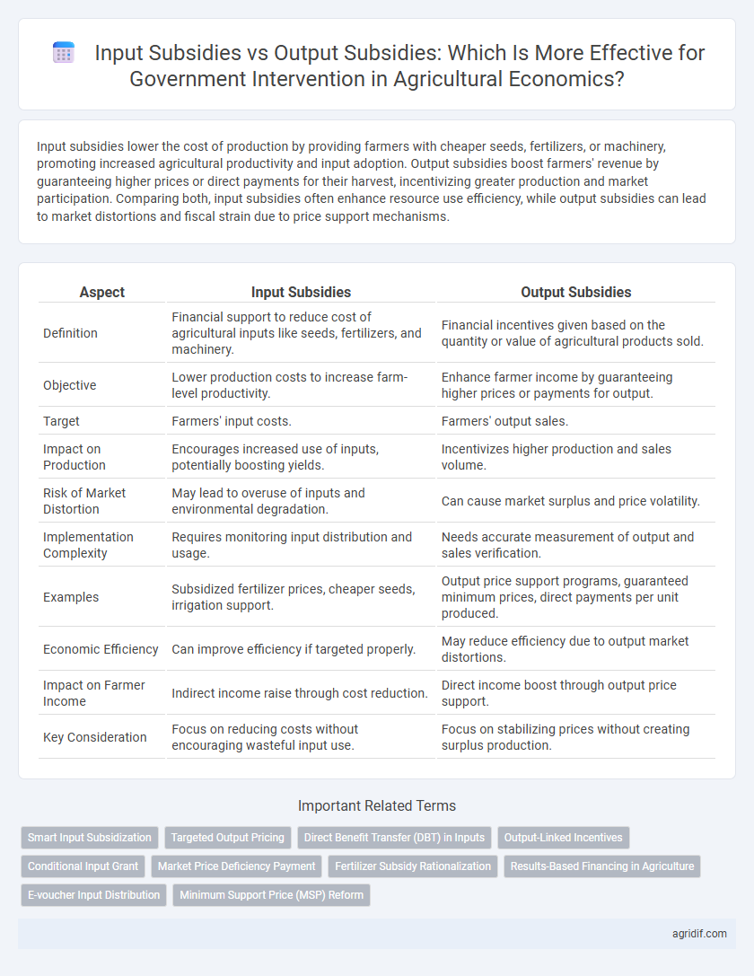 Input Subsidies vs Output Subsidies: Which Is More Effective for Government Intervention in Agricultural Economics?