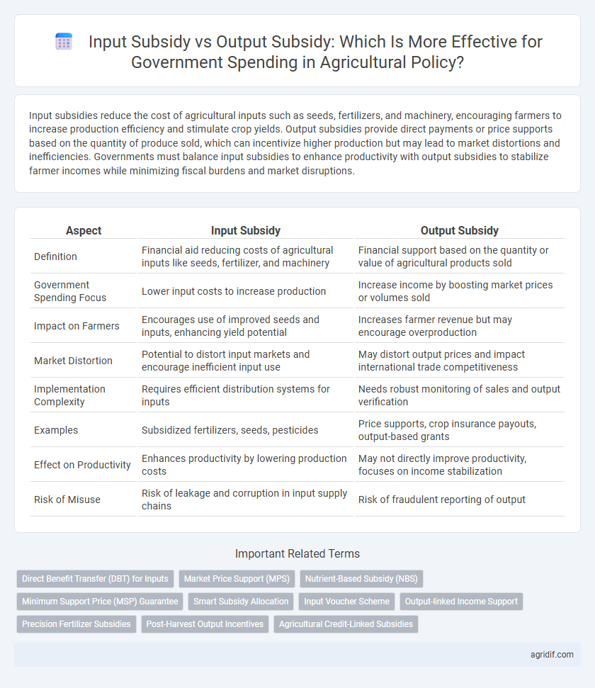 Input Subsidy vs Output Subsidy: Which Is More Effective for Government Spending in Agricultural Policy?