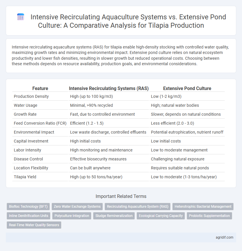 Intensive Recirculating Aquaculture Systems vs. Extensive Pond Culture: A Comparative Analysis for Tilapia Production