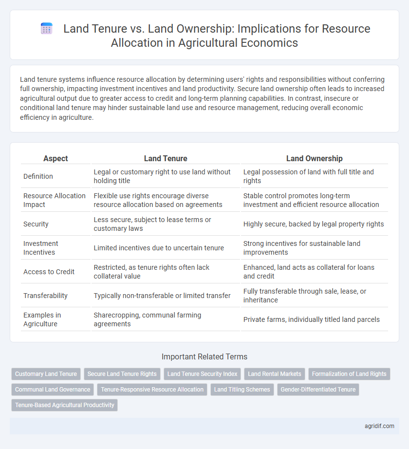 Land Tenure vs. Land Ownership: Implications for Resource Allocation in Agricultural Economics