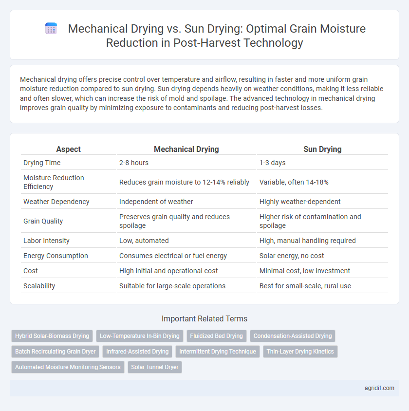 Mechanical Drying vs. Sun Drying: Optimal Grain Moisture Reduction in Post-Harvest Technology
