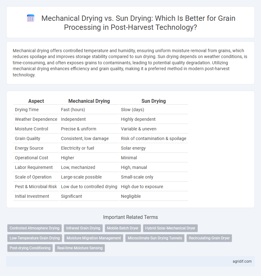 Mechanical Drying vs. Sun Drying: Which Is Better for Grain Processing in Post-Harvest Technology?