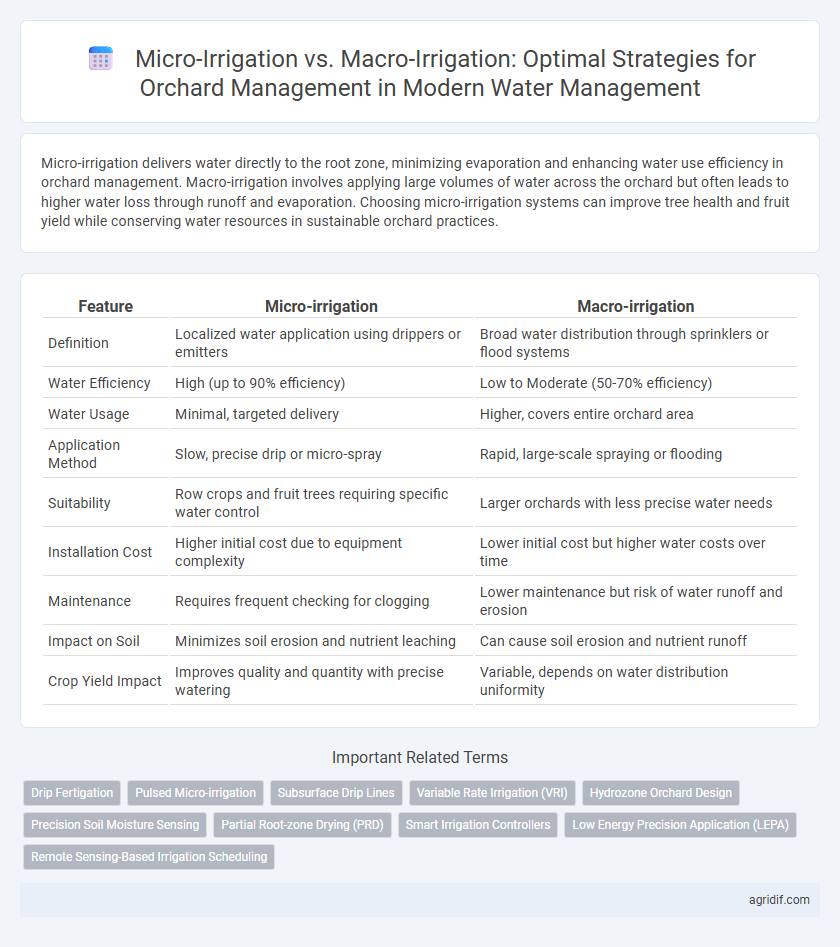 Micro-Irrigation vs. Macro-Irrigation: Optimal Strategies for Orchard Management in Modern Water Management