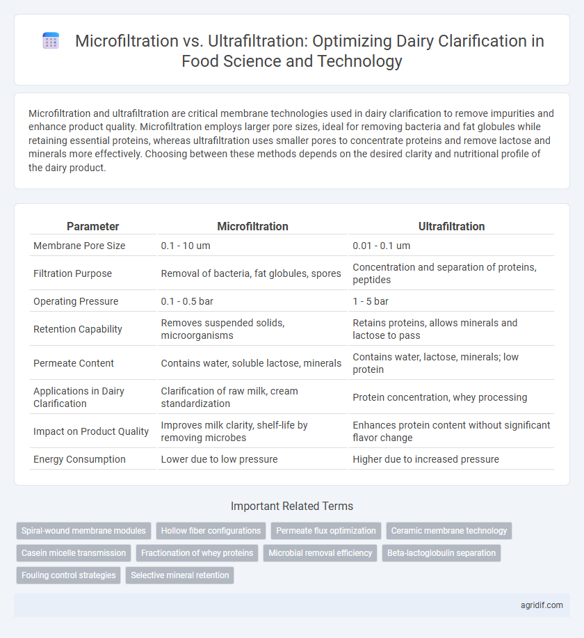Microfiltration vs. Ultrafiltration: Optimizing Dairy Clarification in Food Science and Technology